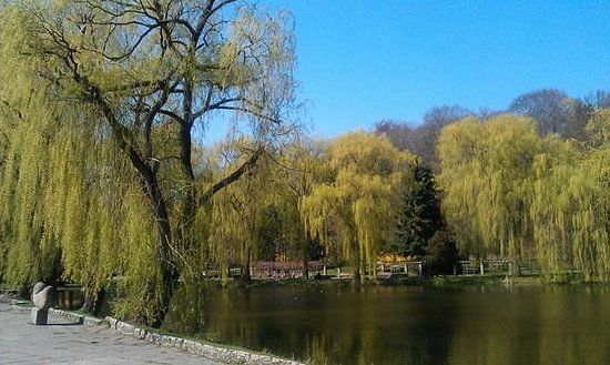 Zajęcia na wodzie z Gdańsk Water Adventure